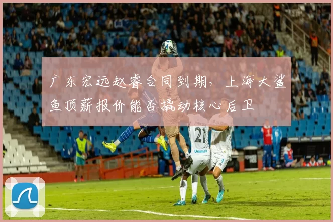 广东宏远赵睿合同到期,上海大鲨鱼顶薪报价能否撬动核心后卫