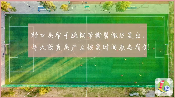野口美希手腕韧带撕裂推迟复出,与大阪直美产后恢复时间表各有侧重