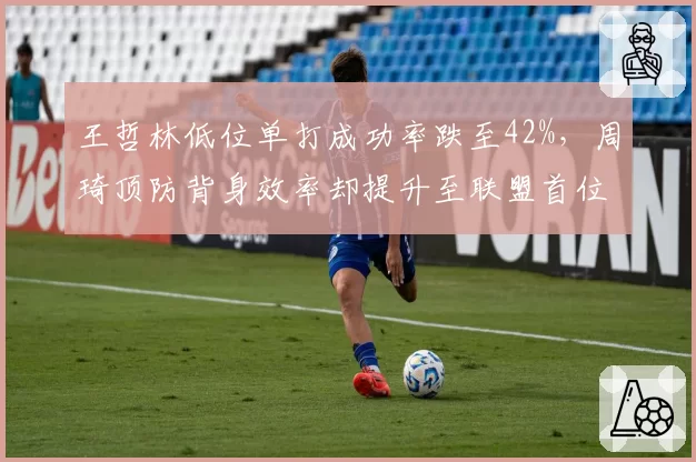 王哲林低位单打成功率跌至42%，周琦顶防背身效率却提升至联盟首位