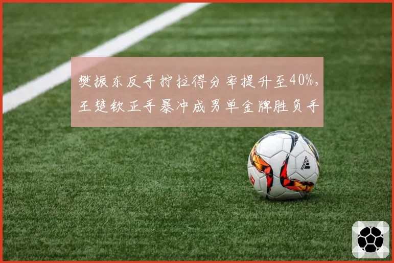 樊振东反手拧拉得分率提升至40%,王楚钦正手暴冲成男单金牌胜负手